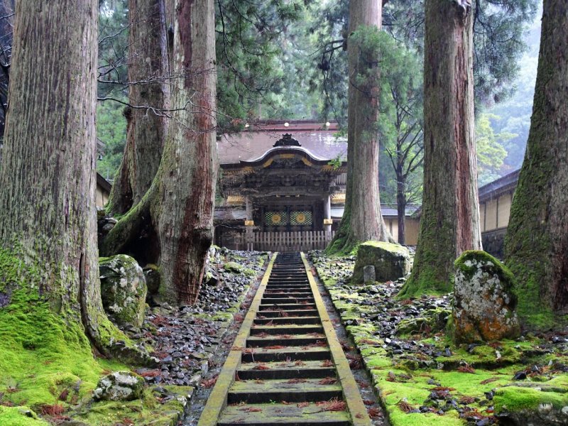 ZEN Spiritual Fukui PM Half day tour