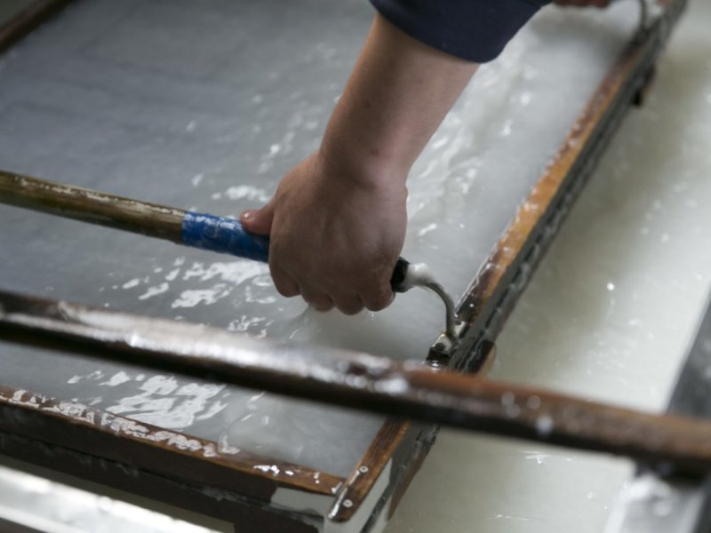 Private Echizen Washi Paper Making Experience and Walking Tour