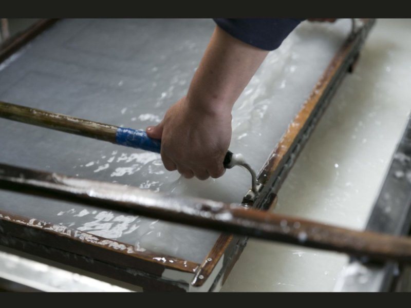 Private Echizen Washi Paper Making Experience and Walking Tour