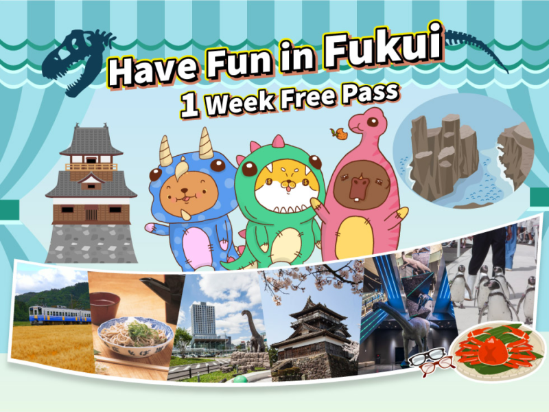 Have Fun in Fukui Pass 1 Week Free Pass (W)