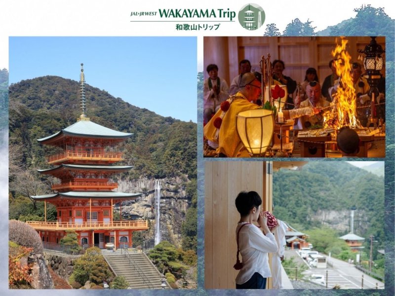 【Wakayama】Special Guided Experience at Nachisan Seigantoji Temple