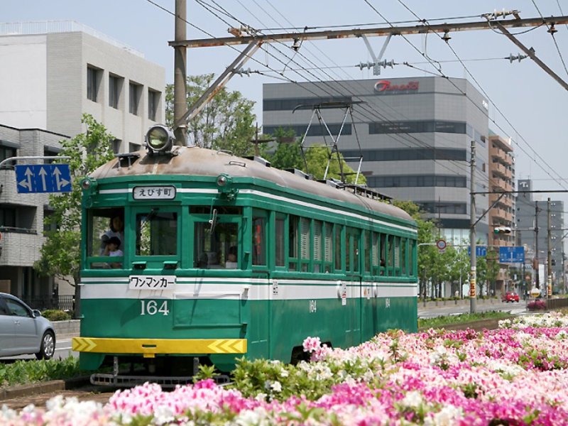 PRIVATE OSAKA TRAM ADVENTURE SAKAI & SUMIYOSHI WALK